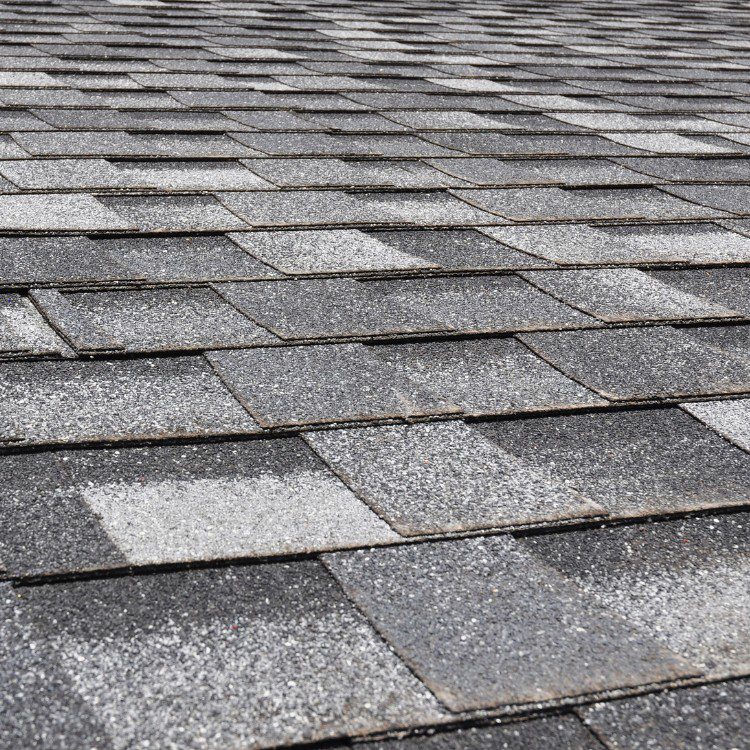 Roofing services in Manatee County, Sarasota and Hillsborough County, FL Roofing services in Manatee County, Sarasota and Hillsborough County, FL