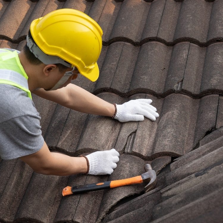 Roofing services in Manatee County, Sarasota and Hillsborough County, FL Roofing services in Manatee County, Sarasota and Hillsborough County, FL